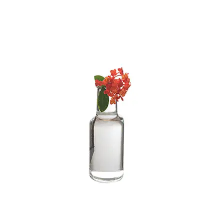 VASINHO 430 P TR LUVIDARTE