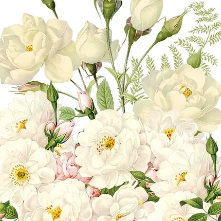 20 GUARDANAPOS DE PAPEL ROSES BLANCS NAPKIN 33X33
